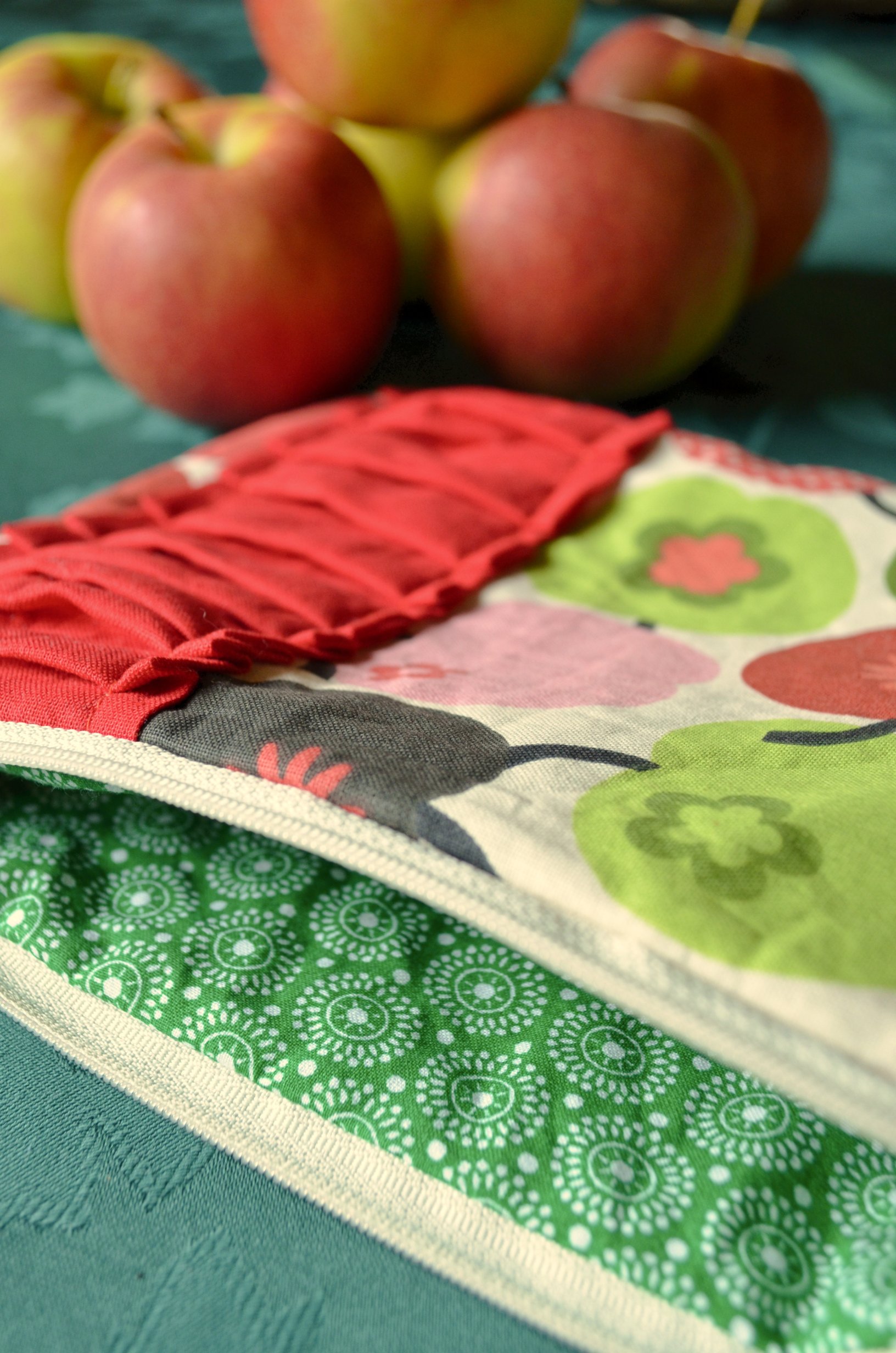 Apple Pouch Giveaway by gingerlemonandspice